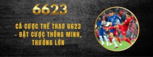 Cá Cược Thể Thao 6623