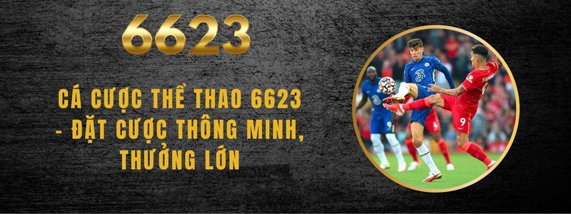 Cá Cược Thể Thao 6623